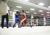 Háo hức chờ những tay đấm “săn vàng” tái xuất tại giải vô địch Boxing TP.HCM 2020
