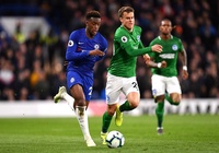 Lịch trực tiếp Bóng đá TV hôm nay 14/9: Brighton vs Chelsea
