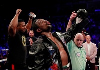 Dillian Whyte nhận mưa gạch đá từ đồng nghiệp sau trận thua KO
