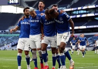 Abdoulaye Doucoure - Allan: Cặp đôi hoàn hảo nơi tuyến giữa Everton