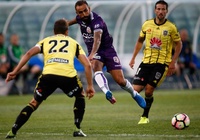 Trực tiếp Wellington Phoenix vs Perth Glory: Vé cho Wellington Phoenix