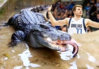 Luka Doncic đặt mục tiêu hạ gục một con... cá sấu!