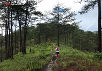 Thử thách sức chịu đựng với đường chạy Dalat Ultra Trail 2020 mùa mưa trắng trời