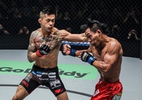 Những phòng tập MMA chất lượng tại TP.HCM