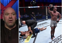 UFC ký hợp đồng với tay mơ vì phong cách giống Mike Tyson