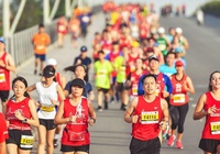 Techcombank Ha Noi Marathon lùi ngày ra mắt thủ đô đến quý 1 năm 2021