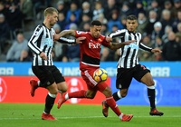 Nhận định Newcastle vs Watford 22h00, 26/1 (vòng 4 FA Cup)