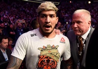 Theo chân Conor và Khabib, Dillon Danis cũng bị cấm thi đấu 7 tháng