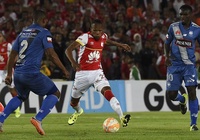 Nhận định Emelec vs Huracan 09h00, 15/03 (vòng bảng Copa Libertadores 2019)