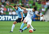 Nhận định Sydney vs Melbourne City 15h00, 17/03 (vòng 22 VĐQG Úc)