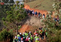 Dalat Ultra Trail 2019: Cuộc "hành hương vĩ đại" về xứ ngàn thông