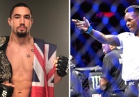 Israel Adesanya: 'Tôi sẽ cho Robert Whittaker thấy rằng tôi vĩ đại hơn tôi nghĩ '