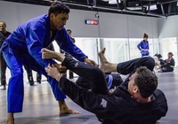 Những phong cách thi đấu trong BJJ