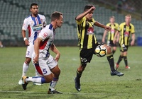 Nhận định Wellington Phoenix vs Newcastle Jets 13h35, 30/03 (vòng 23 VĐQG Úc)