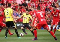 Nhận định Adelaide United vs Wellington Phoenix 14h00, 07/04 (vòng 24 VĐQG Úc)