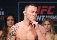 Colby Covington nhại lời Khabib: Wrestling mà dễ, nó đã được gọi là Sambo!