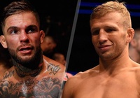 Cody Garbrandt 'phang' TJ Dillashaw thẳng tay trên Twitter sau vụ chất cấm