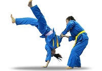 Võ sư Vovinam Châu Minh Hay: Ju-jitsu là một môn võ đầy tính thực tế