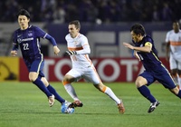 Nhận định Daegu vs Sanfrecce Hiroshima 18h00, 23/04 (vòng bảng AFC Champions League)