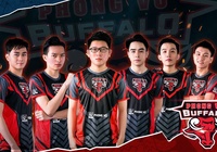 Góc nhìn MSI - Phần 1: Cơ hội nào cho Phong Vũ Buffalo?