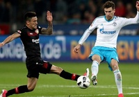 Nhận định, dự đoán Leverkusen vs Schalke 20h30, 11/05 (vòng 33 VĐQG Đức)