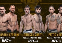 Top 3 trận đấu UFC đáng kỳ vọng nhất hè 2019