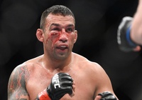 "Ngựa hoang" Fabricio Werdum sẽ trở lại UFC?