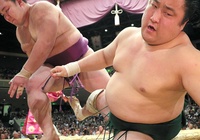 Ông Trump khoái Sumo tới mức nào?