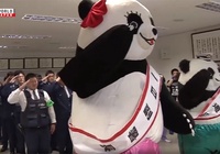 Sốc không, cảnh gấu panda cụng đầu làm cảnh sát khuỵu gối?