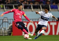 Nhận định, dự đoán Sanfrecce Hiroshima vs Cerezo Osaka 17h00, 06/07 (vòng 18 VÐQG Nhật Bản)