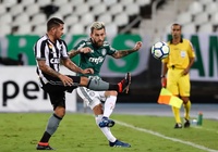 Nhận định Ceara vs Palmeiras 05h00, 21/07 (Vòng 11 VĐQG Brazil 2019)