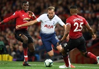 Mèo tiên tri dự đoán Tottenham vs MU (ICC 2019)