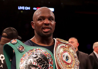 WBC cắt quyền khiêu chiến Deotay Wilder của Dillian Whyte vì doping