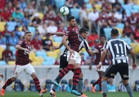 Nhận định Avai vs Botafogo 02h00, 05/08 (vòng 13 VĐQG Brazil)