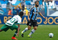 Nhận định Gremio vs Chapecoense 06h00, 06/08 (vòng 13 VĐQG Brazil)