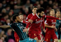 Nhận định Southampton vs Liverpool 21h00, 17/8 (Ngoại hạng Anh 2019/20)