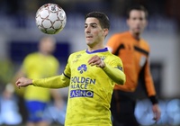 Soi kèo bóng đá Antwerp vs Sint Truidense 23h00, 18/8 (VĐQG Bỉ)