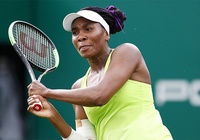 Trước thềm giải quần vợt US Open 2019: Phát hiện "thần dược" của Venus Williams