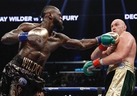 Lộ lý do Deontay Wilder và Tyson Fury chưa thể hẹn ngày tái đấu