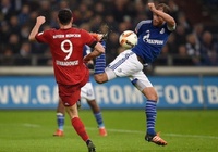 Xem trực tiếp Paderborn vs Schalke 04 ở đâu, kênh nào?