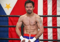 Đội Manny Pacquiao phủ nhận trận tái đấu với Floyd Mayweather