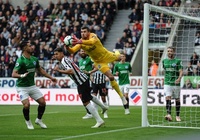 Dự đoán Newcastle vs Brighton 23h30, 21/09 (Vòng 6 NHA)