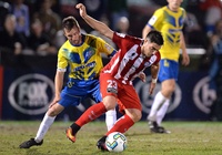 Nhận định Brisbane Strikers vs Melbourne City 16h30, 1/10 (Cúp QG Australia 2019)