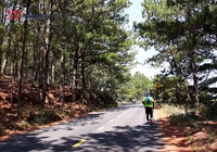 Cách chinh phục Langbiang Trail 2019 chỉ trong 2 tuần tập luyện