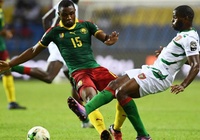 Nhận định Tunisia vs Cameroon 23h00, ngày 12/10 (Giao hữu quốc tế)