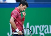 Novak Djokovic lại bị đau tay