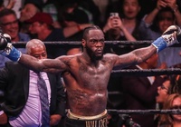 Từng đấm nhau đến bung ốc và những sự thật thú vị khác của Deontay Wilder