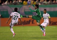 Soi kèo Palmeiras vs Chapecoense 07h00, 17/10 (vòng 26 VĐQG Brazil)