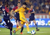 Nhận định Veracruz vs Tigres UANL 09h00, 19/10 (vòng 14 VÐQG Mexico Apertura)