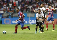 Nhận định Esporte Clube Bahia vs Ceara 05h30, ngày 22/10 (VĐQG Brazil)